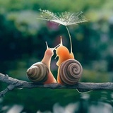 逐梦聚聚体育