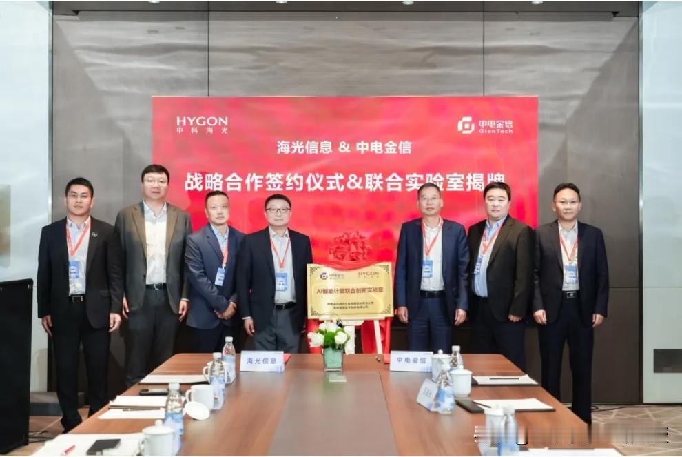 五家金融伙伴接连落子，海光这波阵容够硬！

干IT这些年，看到海光这回的金融合作