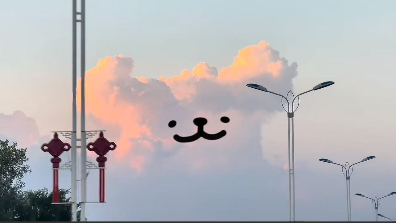 小白 ​​​
