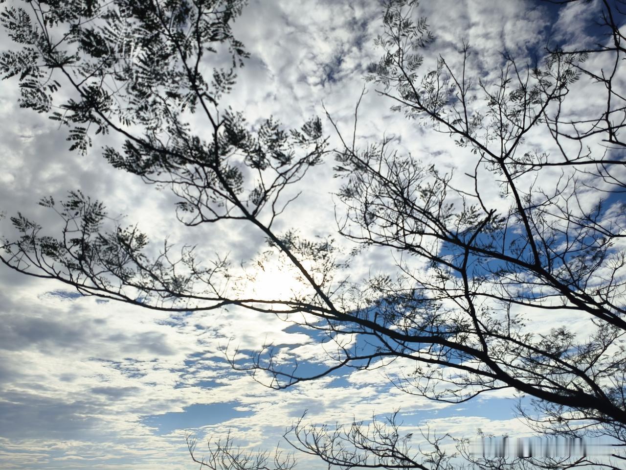 退休倒计时，还有二月我就可以放飞自我了。开心到起飞。[马思纯的微笑]