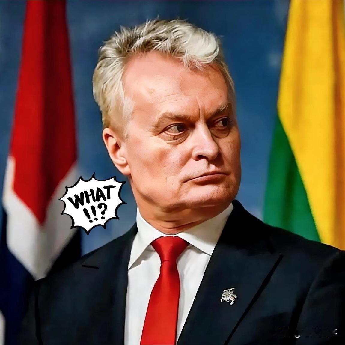 蚍蜉撼树谈何易 
立陶宛要与东方大国对抗到底

立陶宛总理鲁吉尼埃内首次公开承认