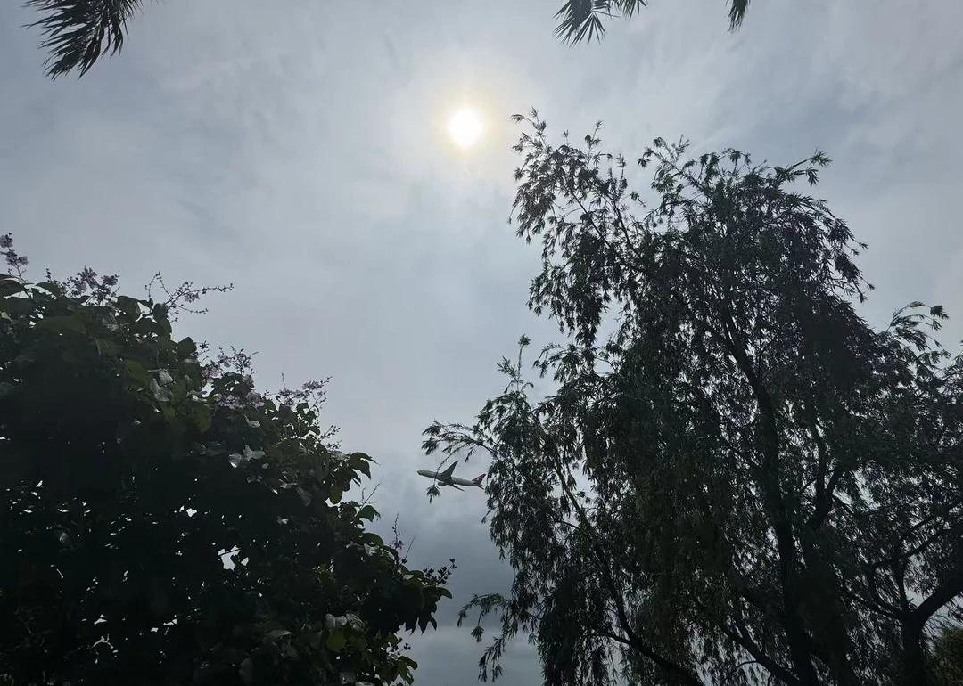 来广州住的这家酒店，被飞机景观狠狠拿捏了！
酒店周围绿树环绕，空气都变清新了🌿