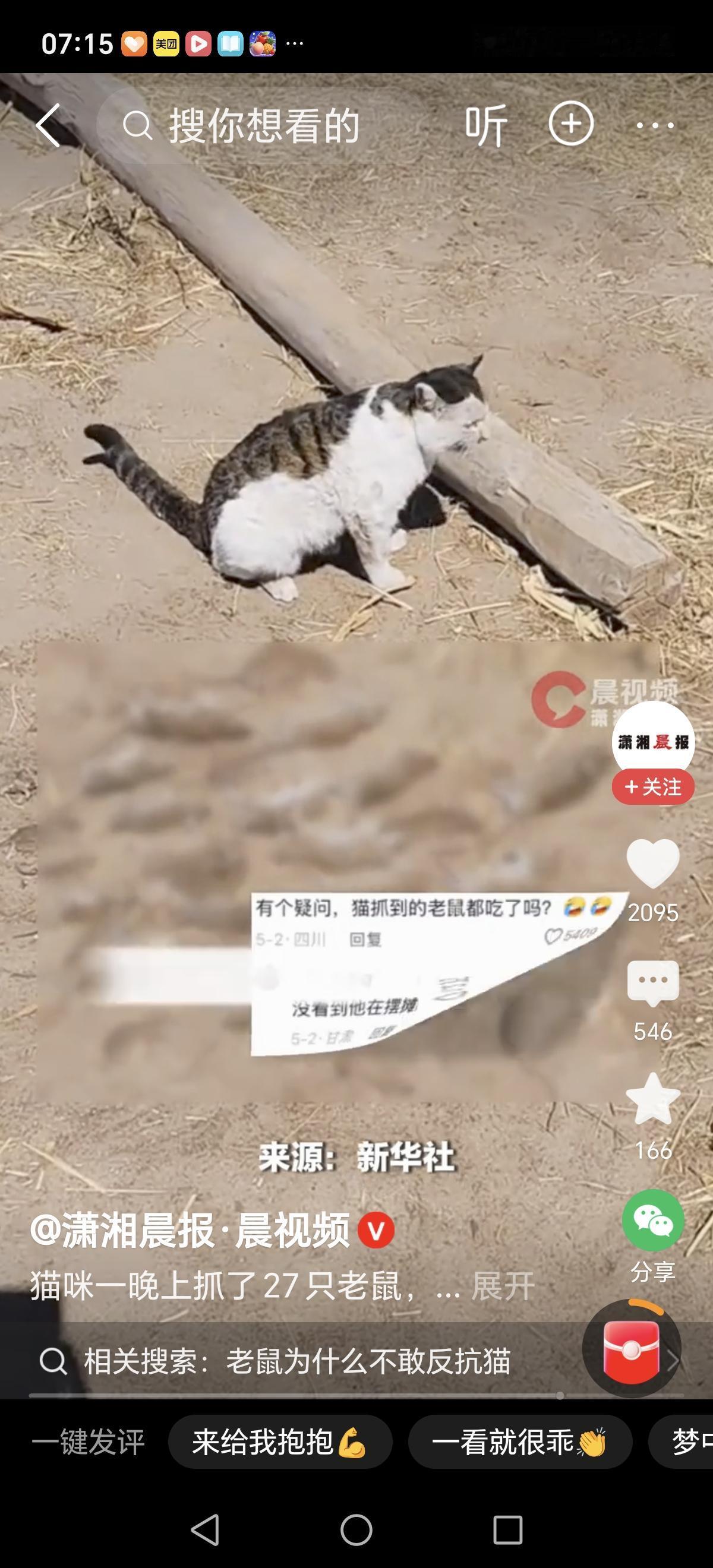 猫抓老鼠的目的可不止一种。从生存角度看，在野外，老鼠是猫稳定且易得的“营养补给包