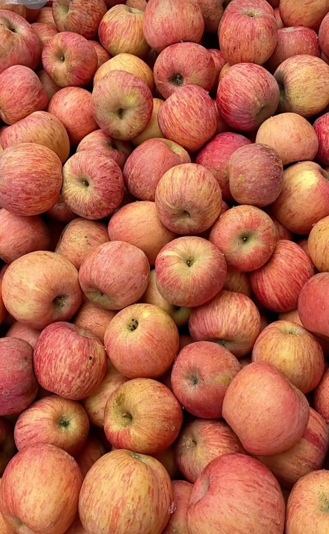 烟台某冷库这种条纹三级果1.5元一斤，我感觉价格还可以接受。
其实去年秋天三级果