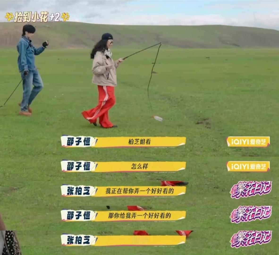 张柏芝在牛屎上摘花给邵子恒繁华的气氛好好，还得是熟人之间才这么有梗[旺柴] ​​
