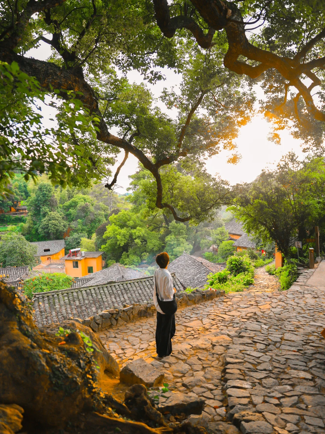 迄今为止，我最喜欢的城市出现了‼️