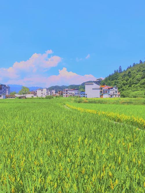 夏天
 
暖风挣脱了春的软绵，撞开夏日的门帘
天地褪去浅淡的青，铺展一片热烈人间
