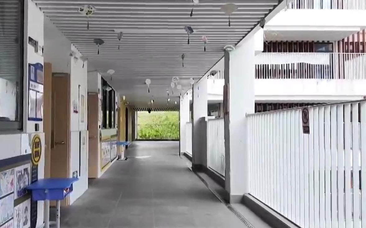 神兽归笼！全国中小学新学期迎多项新变化 午休、校园餐皆升级
全国中小学陆续迎来春