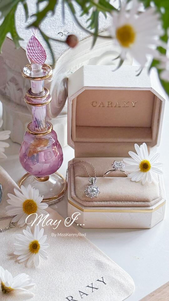 生命故事感超强的小花｜玛格丽特.小菊