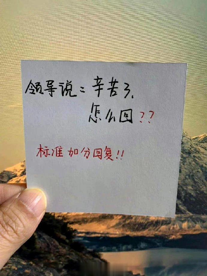领导说辛苦了 标准加分回复模板 ​ ​​​