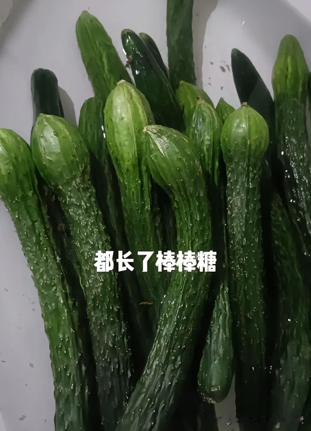 我真是醉了，
发篇文章说黑心商家黄瓜7小时速成，有人不信！不信的人那就使劲吃吧！