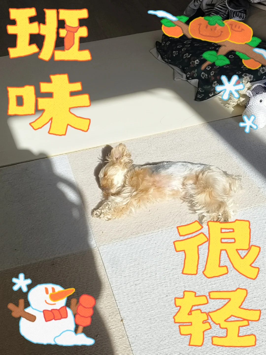 大年初八，你，上班了吗😉