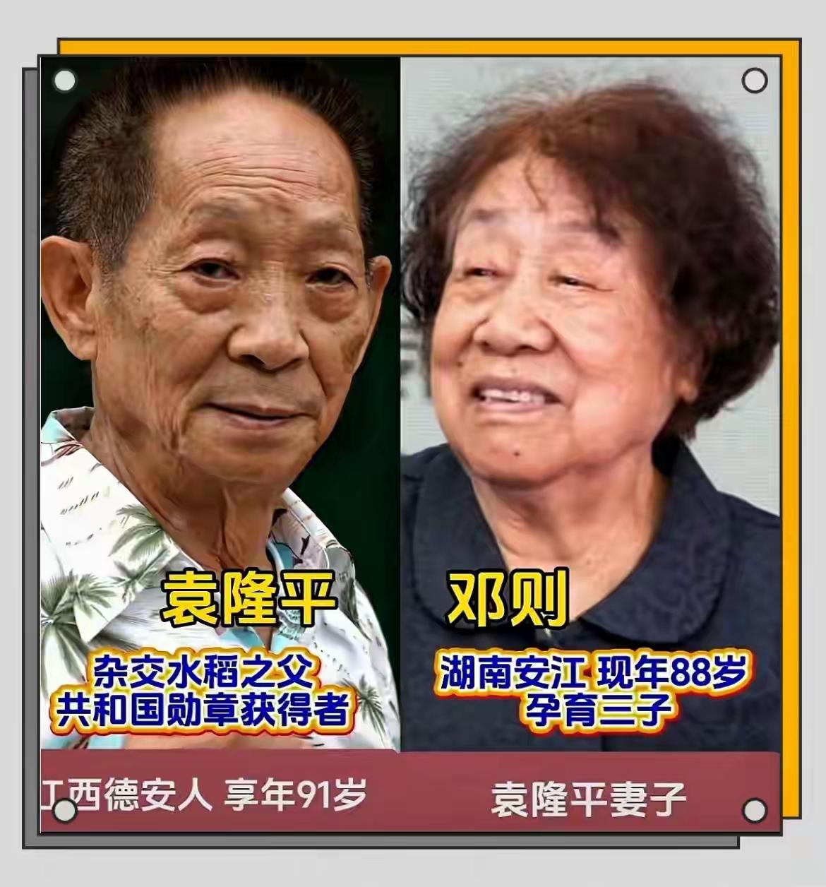 袁隆平一家满门英才，优良家风代代传承。
作为杂交水稻之父，袁隆平一生扎根农田，用