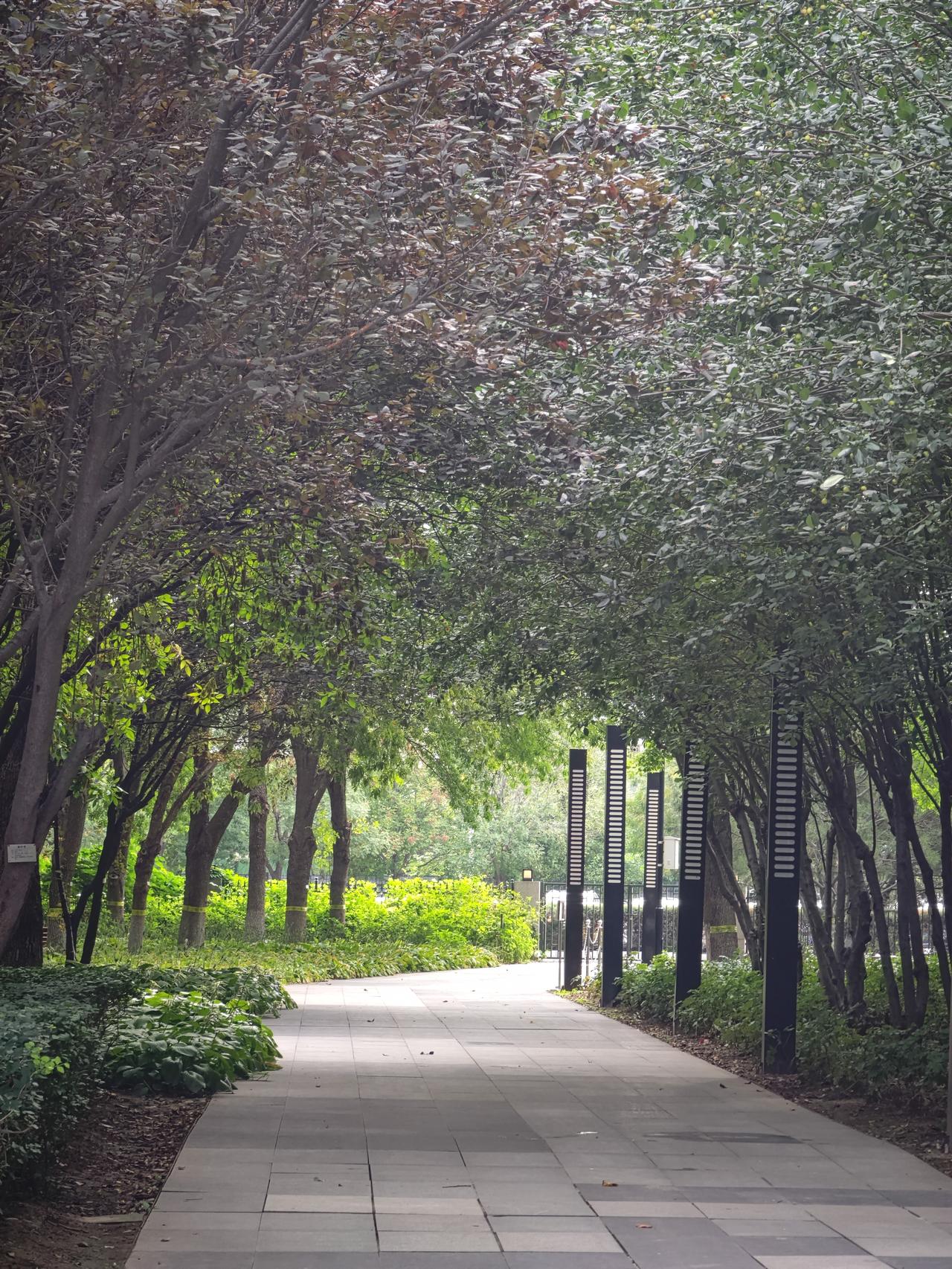 革命卫队和美军实力相比较，差距太大！
美国战机F–15E被伊朗击落后，两名机组人