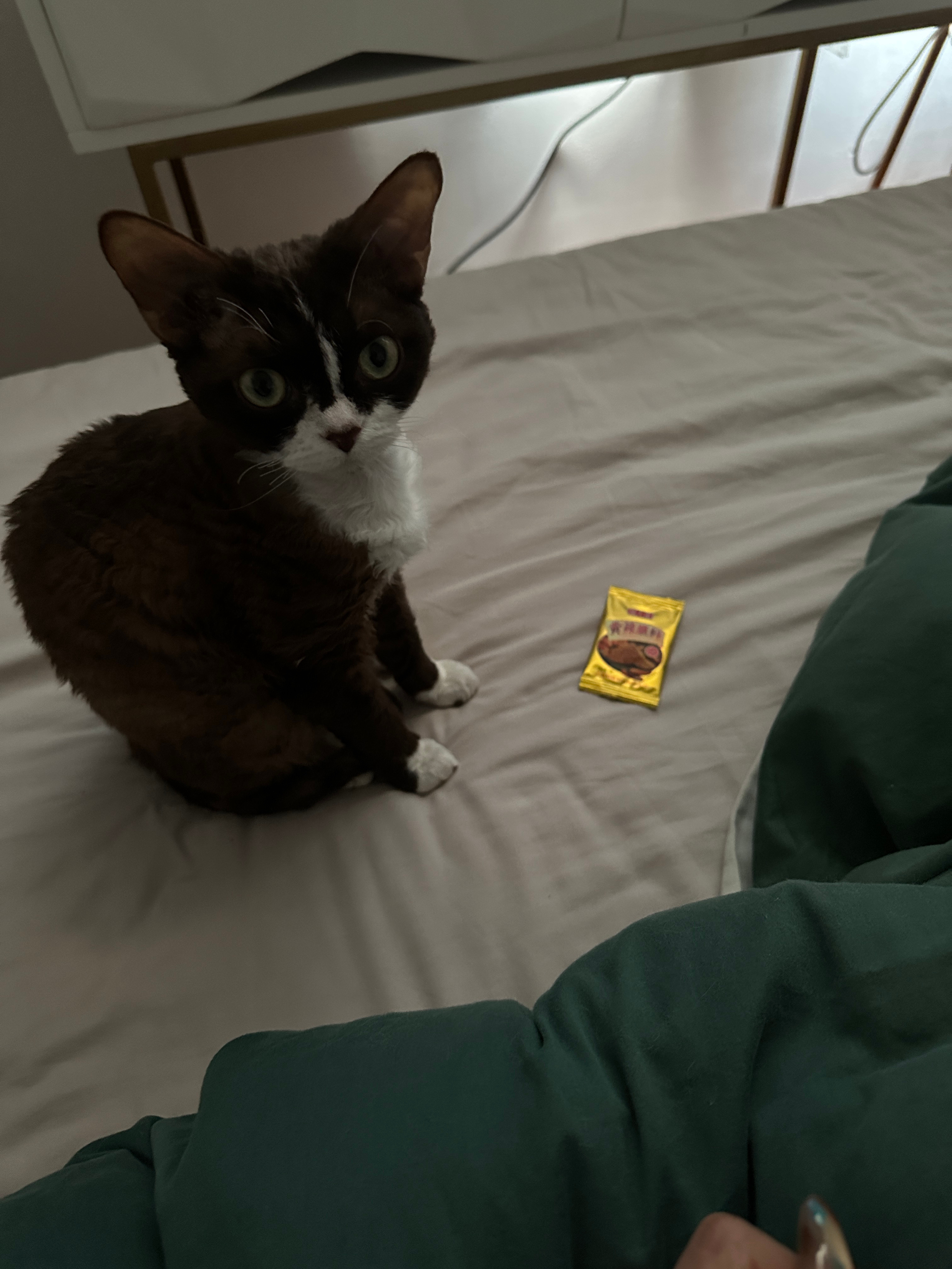 睡醒被窝里一包辣椒面 