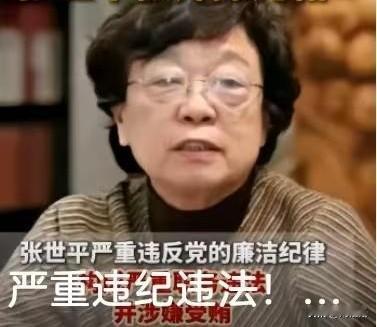 法网不容特权，纪律没有例外！
 中华全国总工会原副主席张世平被开除党籍的消息一经