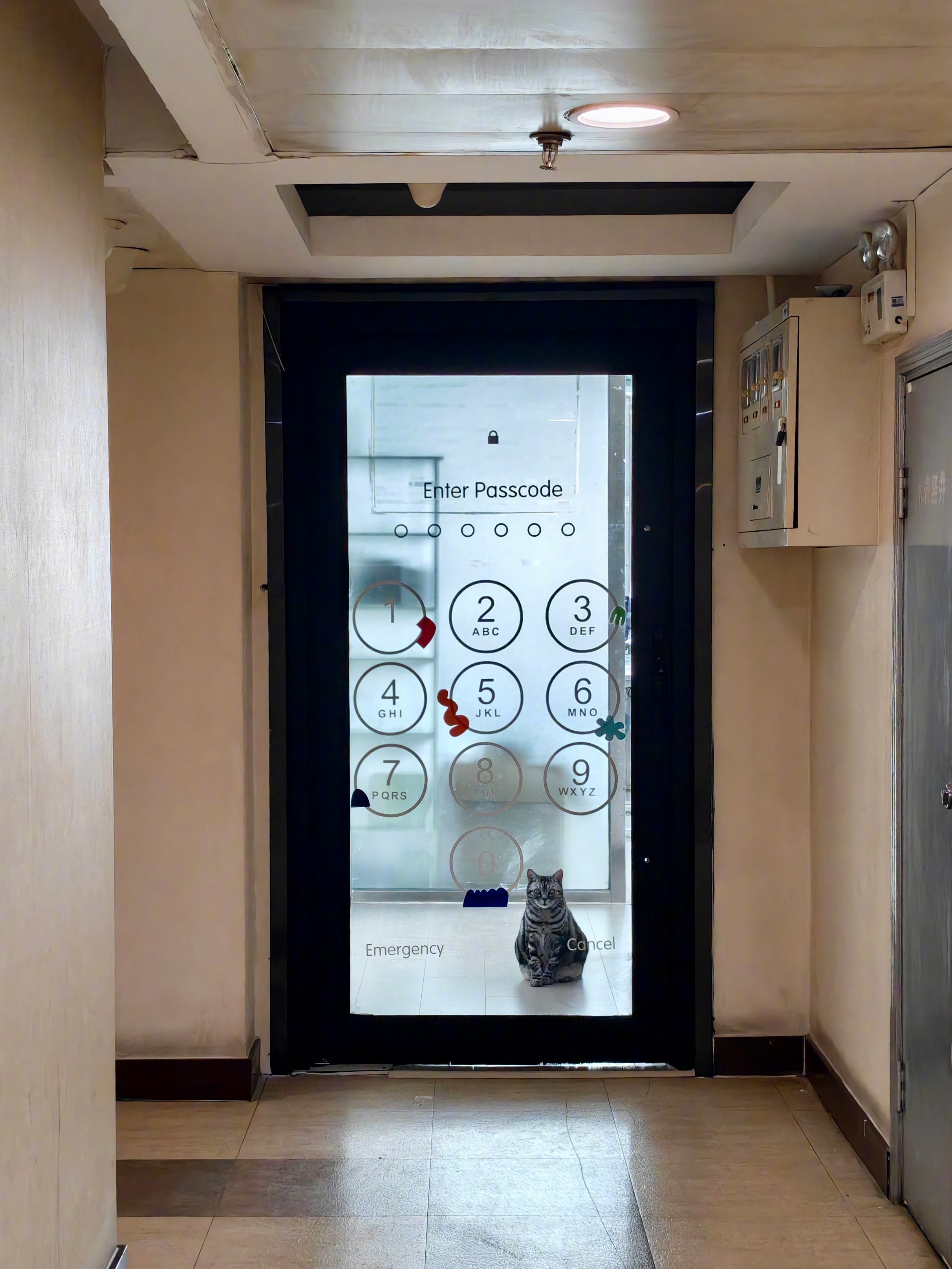 呜呜🥹太可爱！输入密码可以解锁猫猫！我家里其实有 6 只猫，但是它和别的猫一直