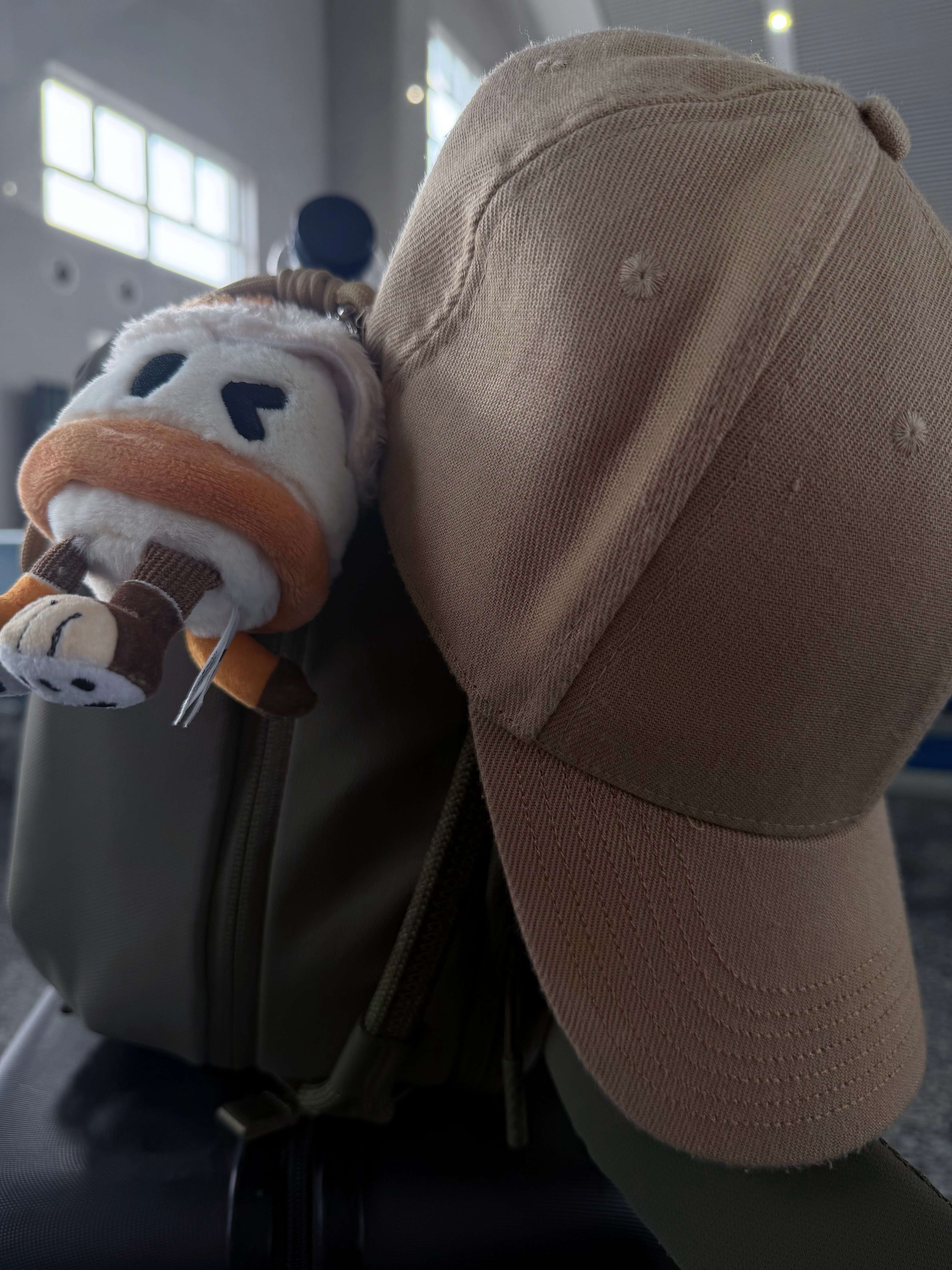 这次，由你陪着我去浪