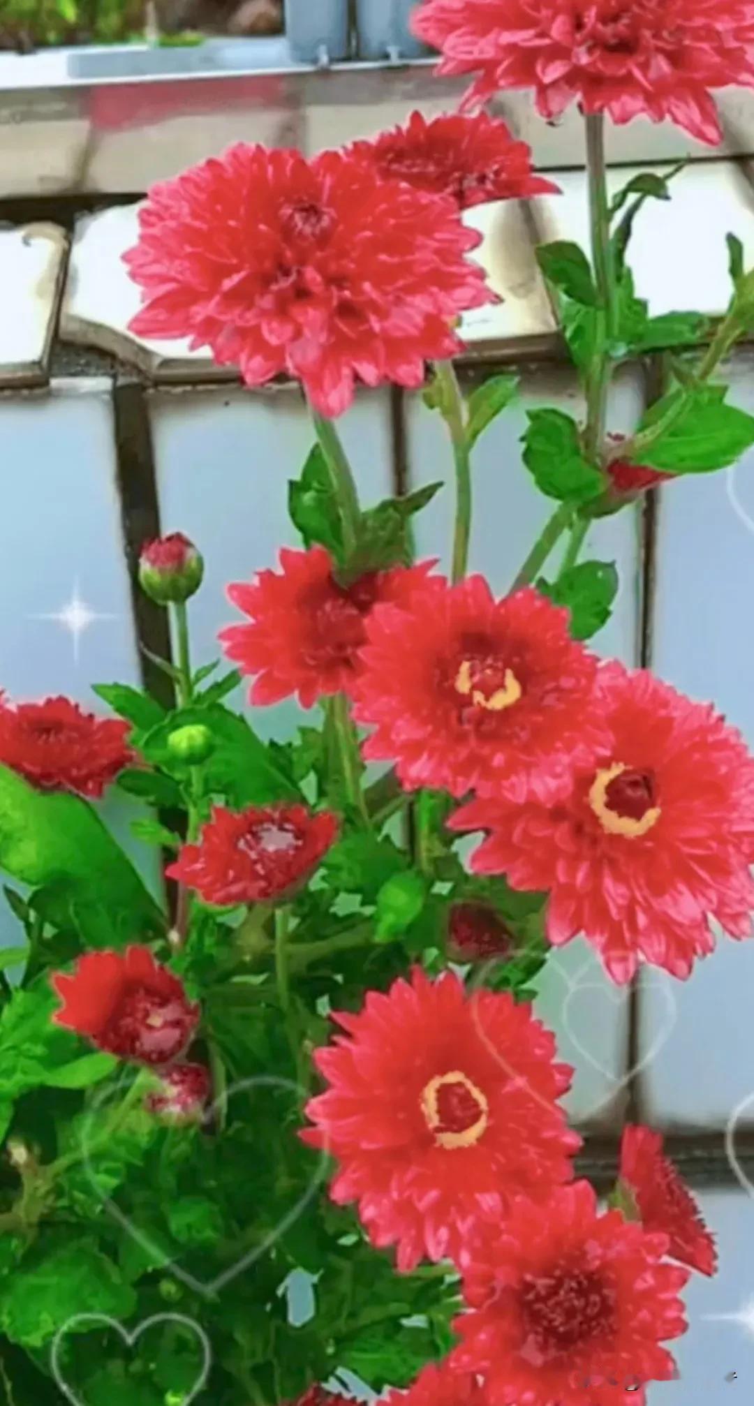 湖南的考生注意了，7月25日将填报第一次征集志愿。
“从公布的第一次投档分数线来