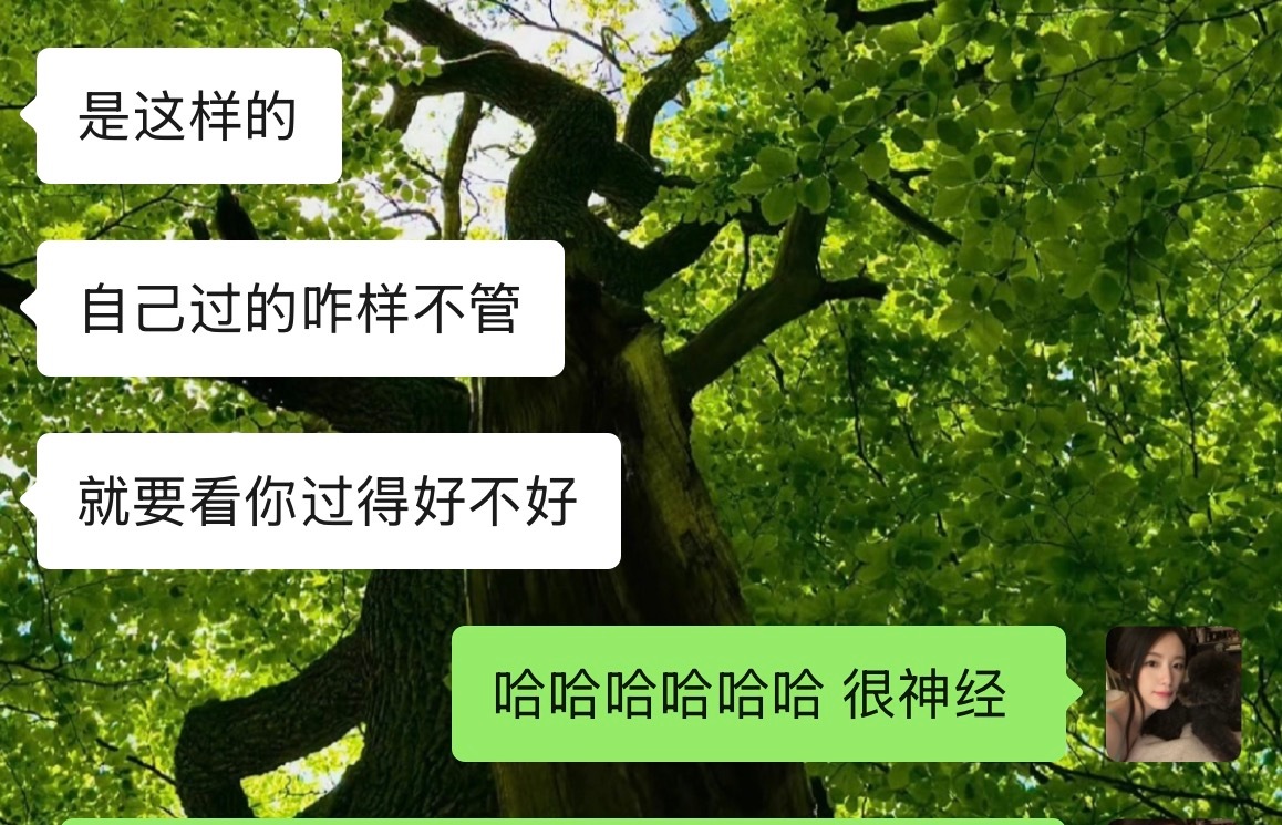 很神经 恶意sj我的都给我挡灾 