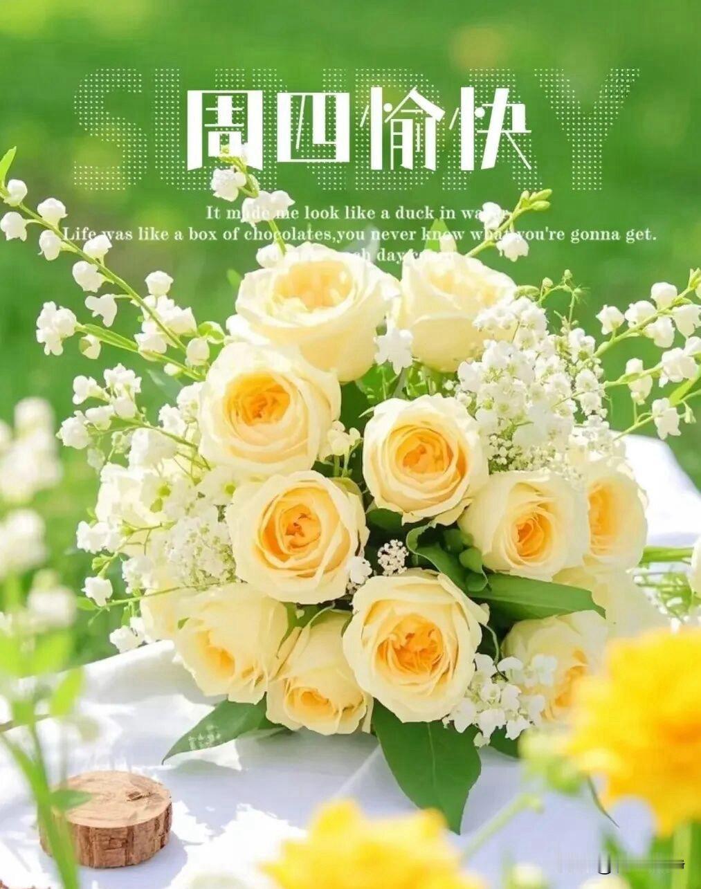 🌼²⁰²⁶/₀₆.₁₈ᵕ̈ 周四｜早安☀️🍃🐎
生活最舒服的状态，
不强求