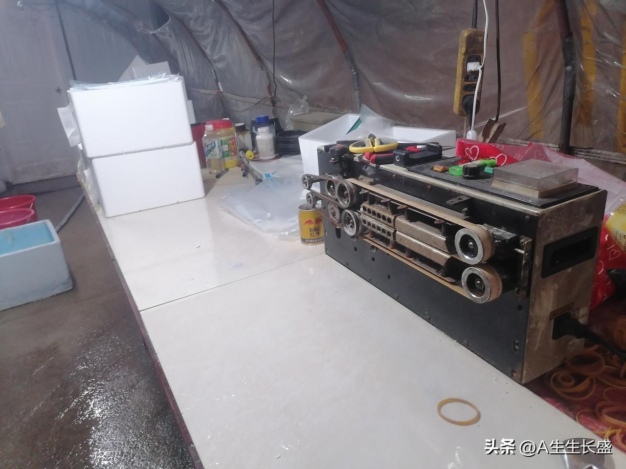 集卡领红包观赏鱼打包进行中，有几十单，打包真是里三层外三层，包裹里面通常才几条小