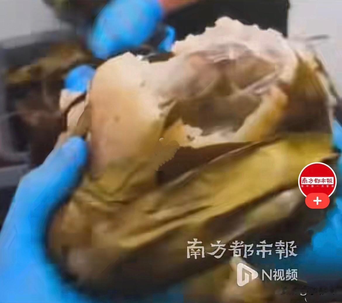 谁能想到，好好的端午粽子，竟然被不法分子拿来当成藏毒的伪装工具……
     近