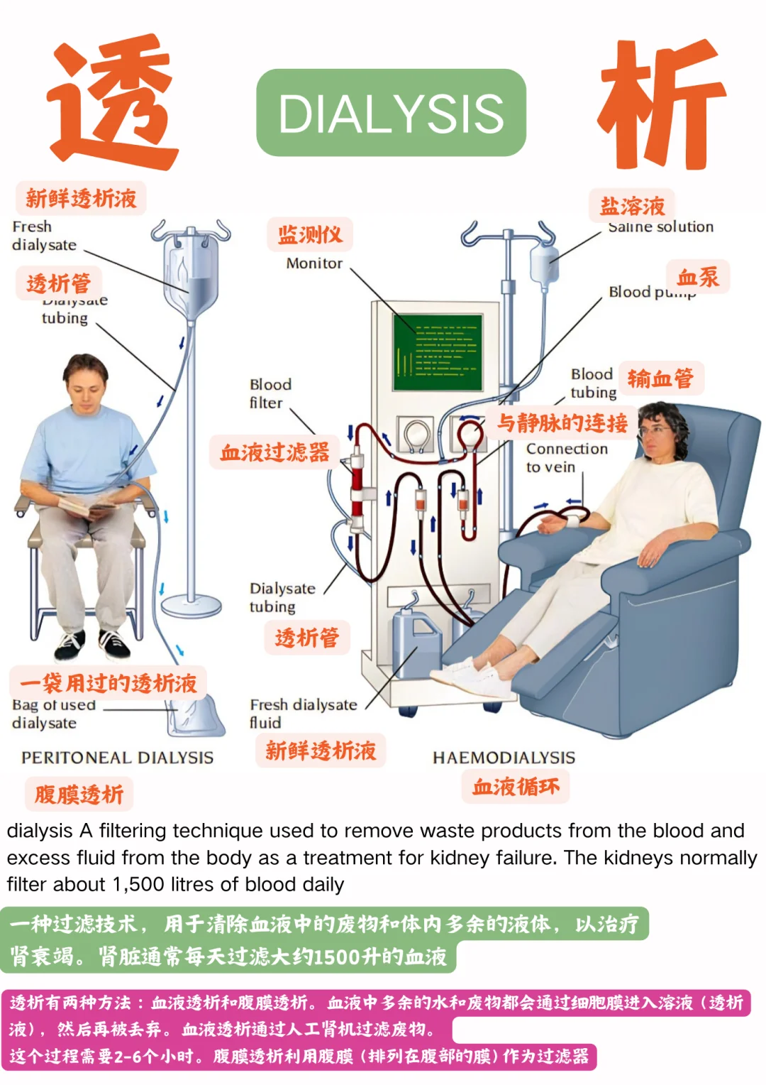 备考RN/透析！！学！！单词