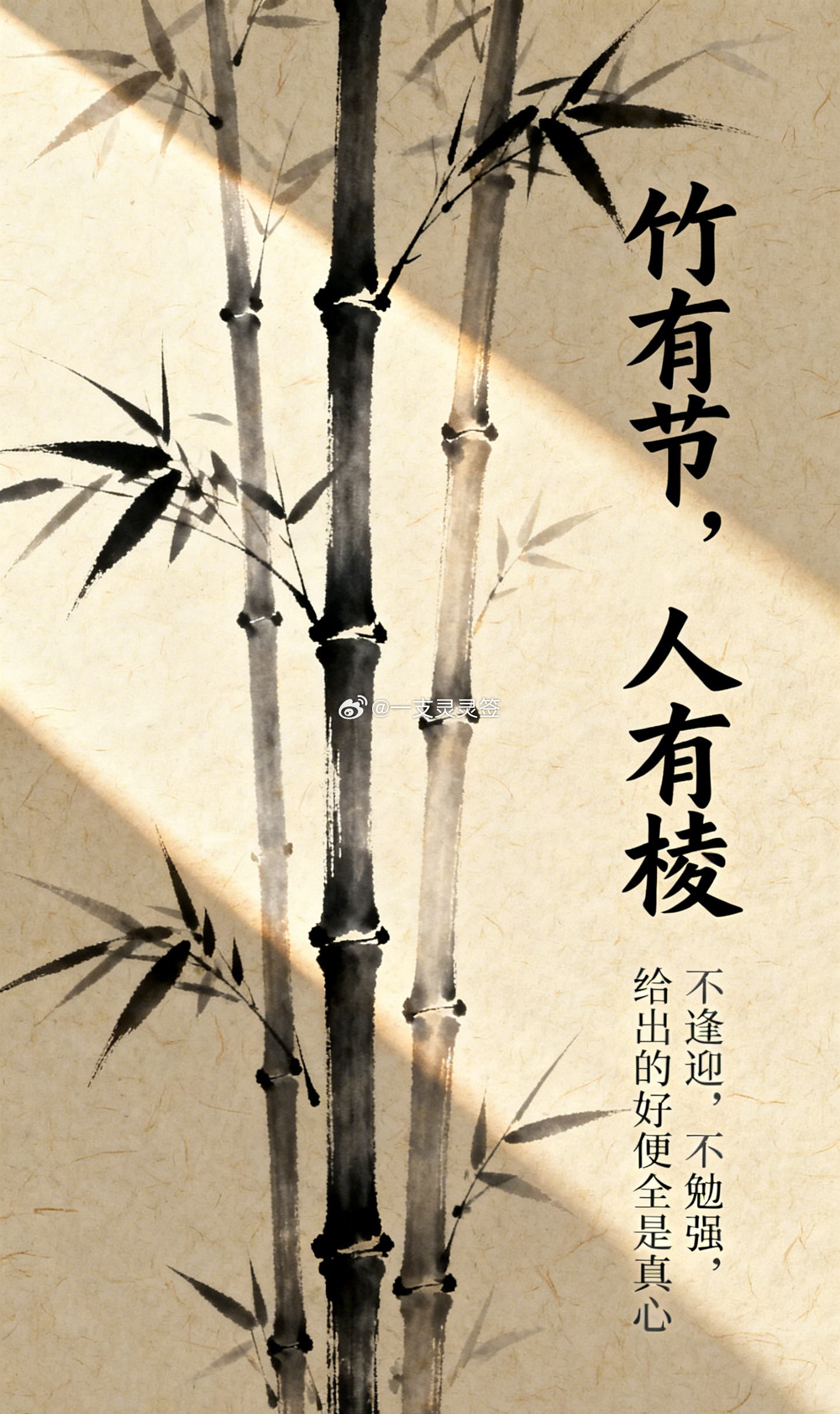 那些带着些许棱角的人，往往活得最真实。他们或许不够八面玲珑，偶尔还会透着点小倔强