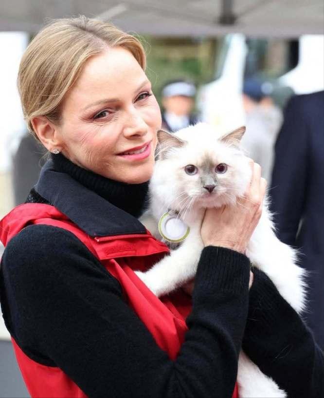 夏琳基金会举办道路安全活动[鼓掌]
虽然是第二届，但王妃如鱼得水般踊跃，
淡妆出