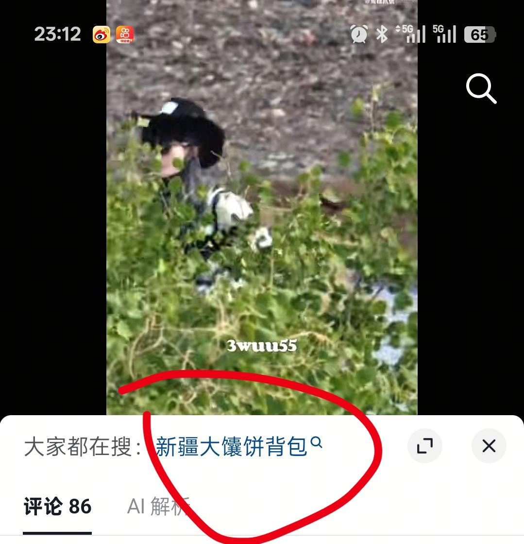 这是什么搜索？痘印不要乱说，我孩子还是饼不是馕 