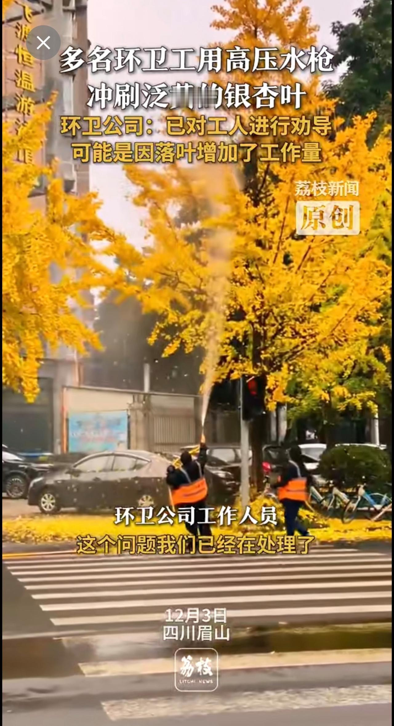 ：已对工人进行劝导 可能是因落叶增加了工作量