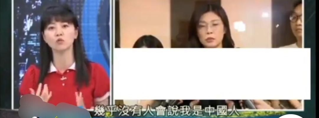 台独份子高嘉瑜在台湾省参加政论节目时，还在附和赵少康所说的“境外势力”介入中国国