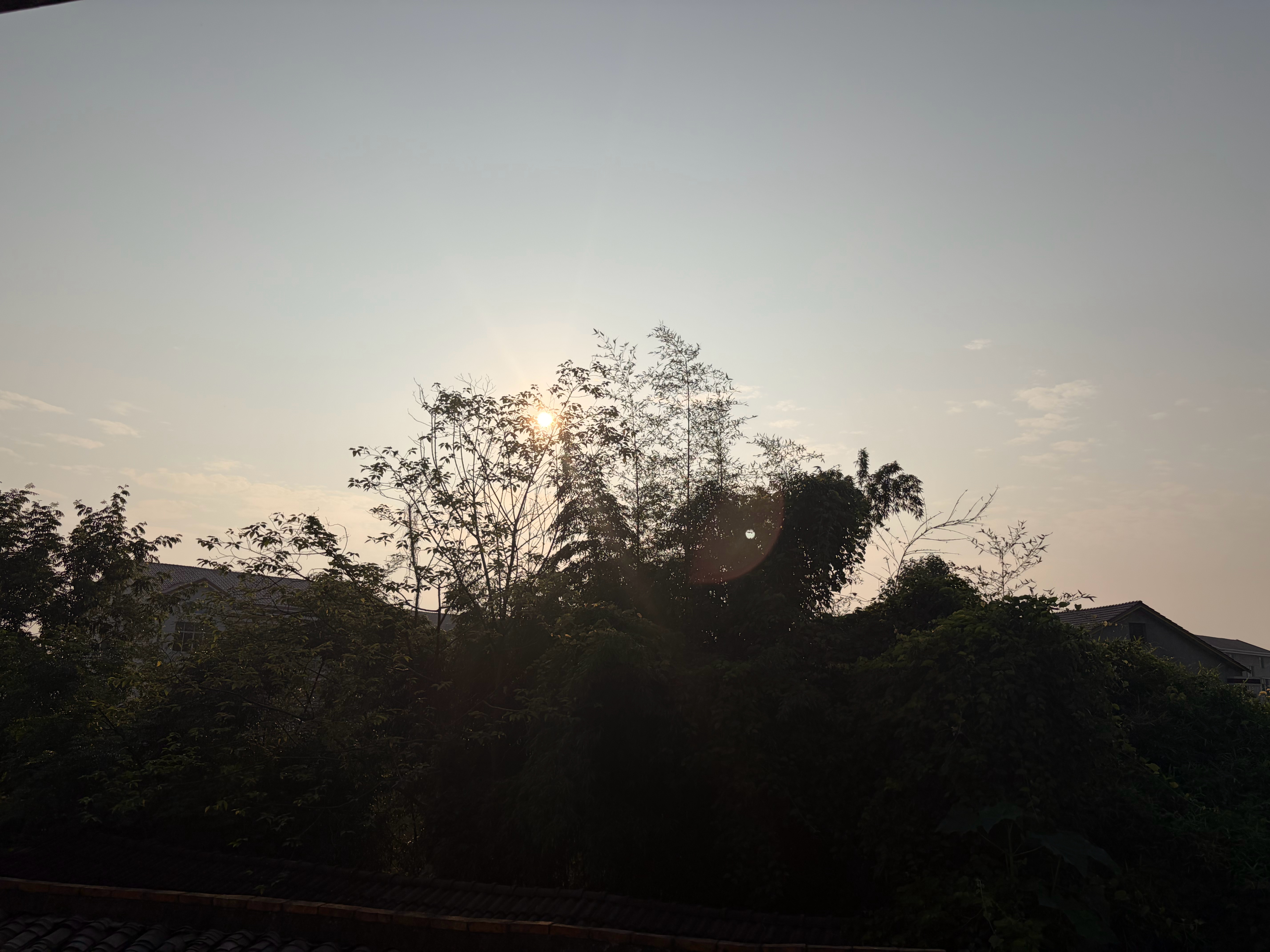 早上好哇 