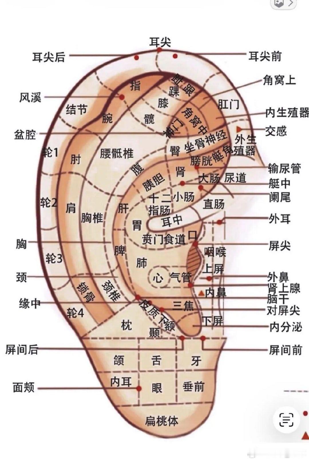 《素问·阴阳别论》：二阴一阳发病，善胀，心满善气一、原文定位出自《黄帝内经·素问