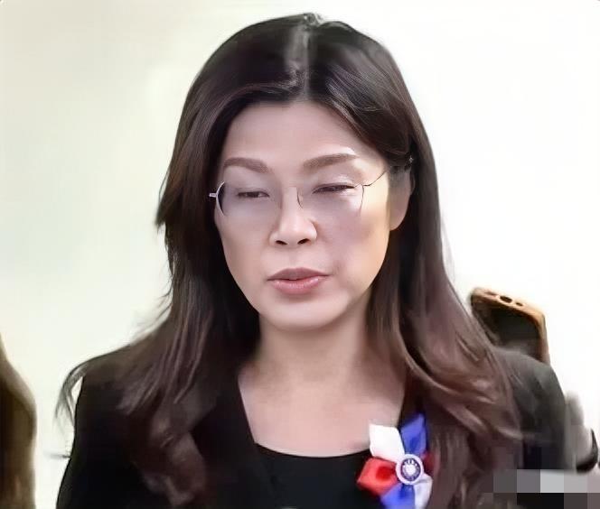 我相信过台湾那位国民党主席，
也相信过她说的“九二共识”是真心的，
实在没想到，