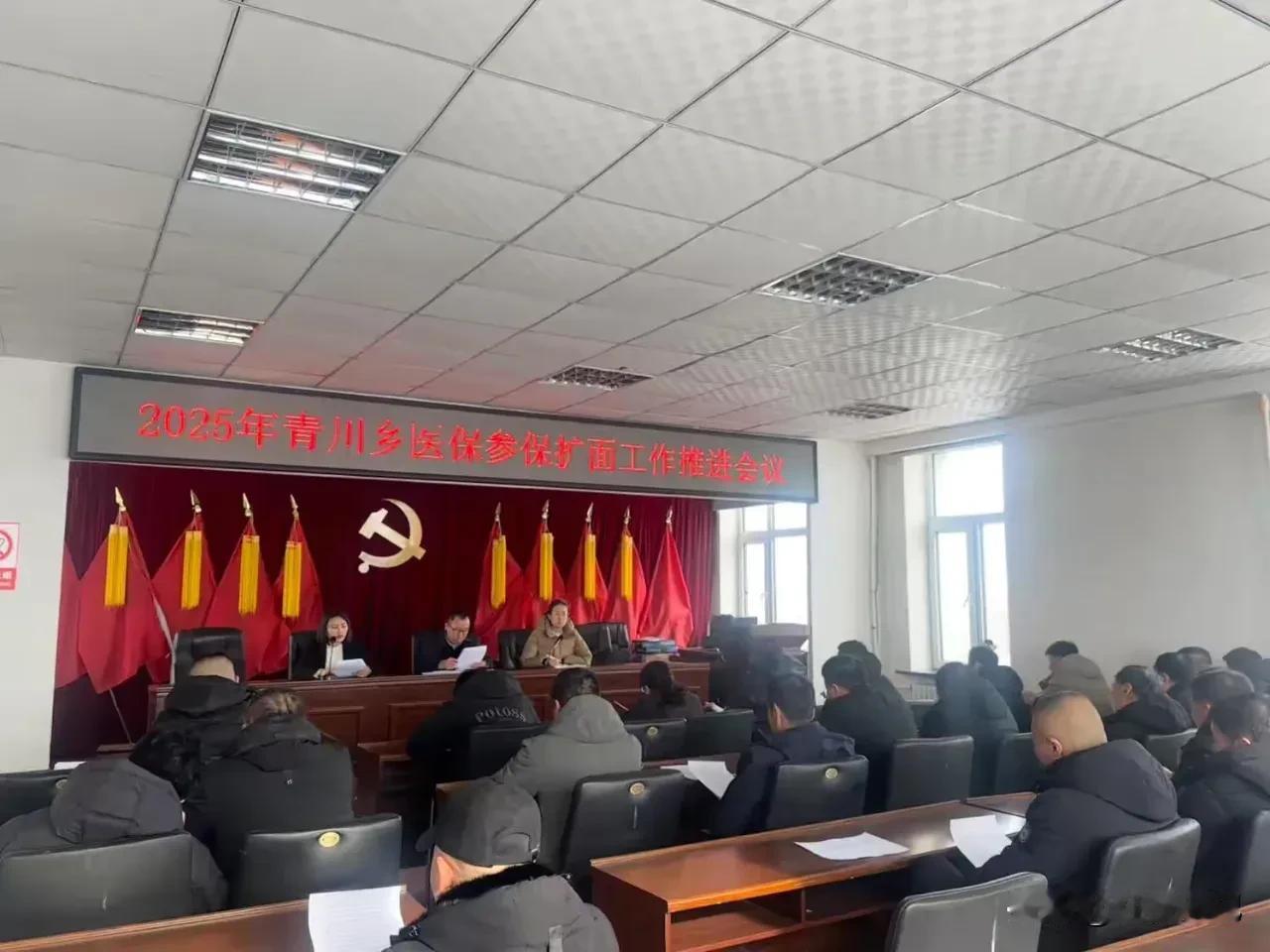 【新时代 新征程 新伟业】延寿县丨青川乡召开2025年医保参保扩面工作推进会议