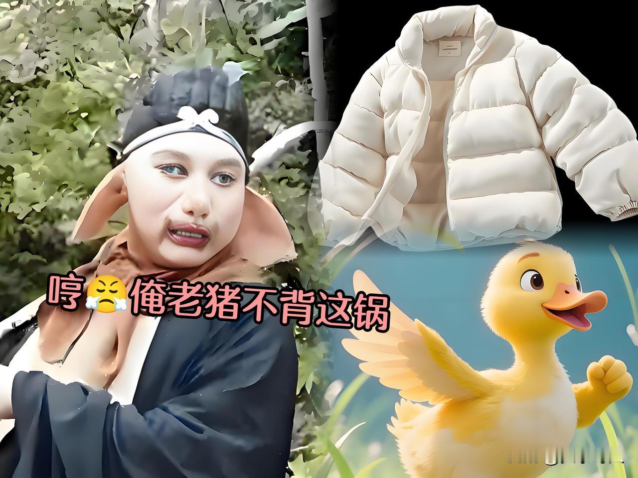 专家：因为猪肉降价致羽绒服涨价，有合理性
       经济学家、行业协会分析：