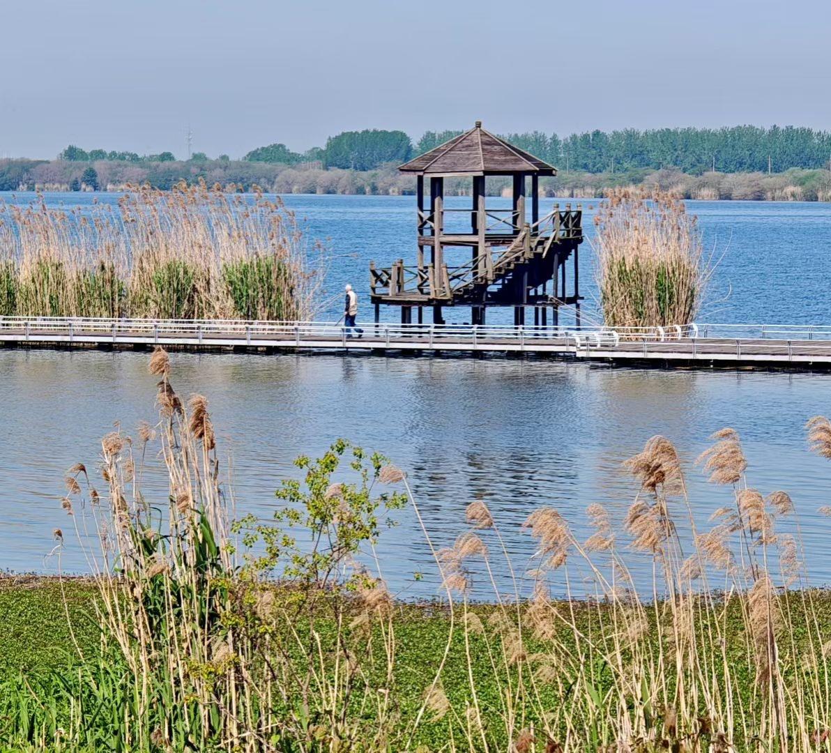 春日生活打卡季春日的湖边长廊，风卷着芦苇轻晃，水波把阳光揉成细碎的银。不用赶时间