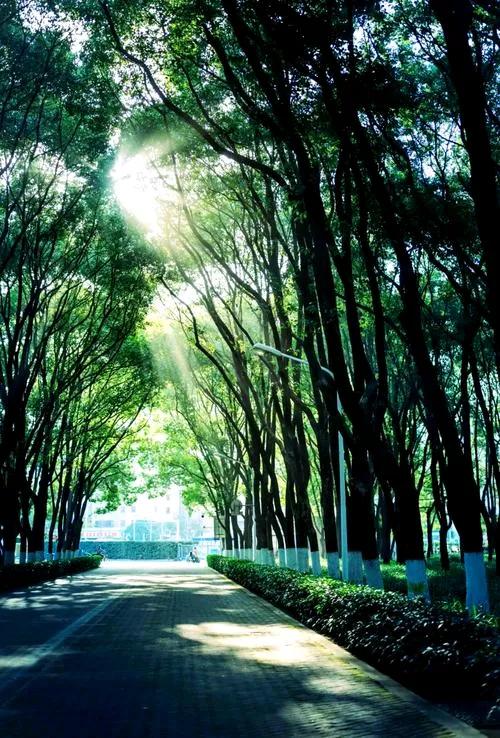 妹妹受姐姐临时委拖帮忙看顾在泳池游泳的孩子，期间妹妹只顾玩手机，致使小孩溺亡，姐