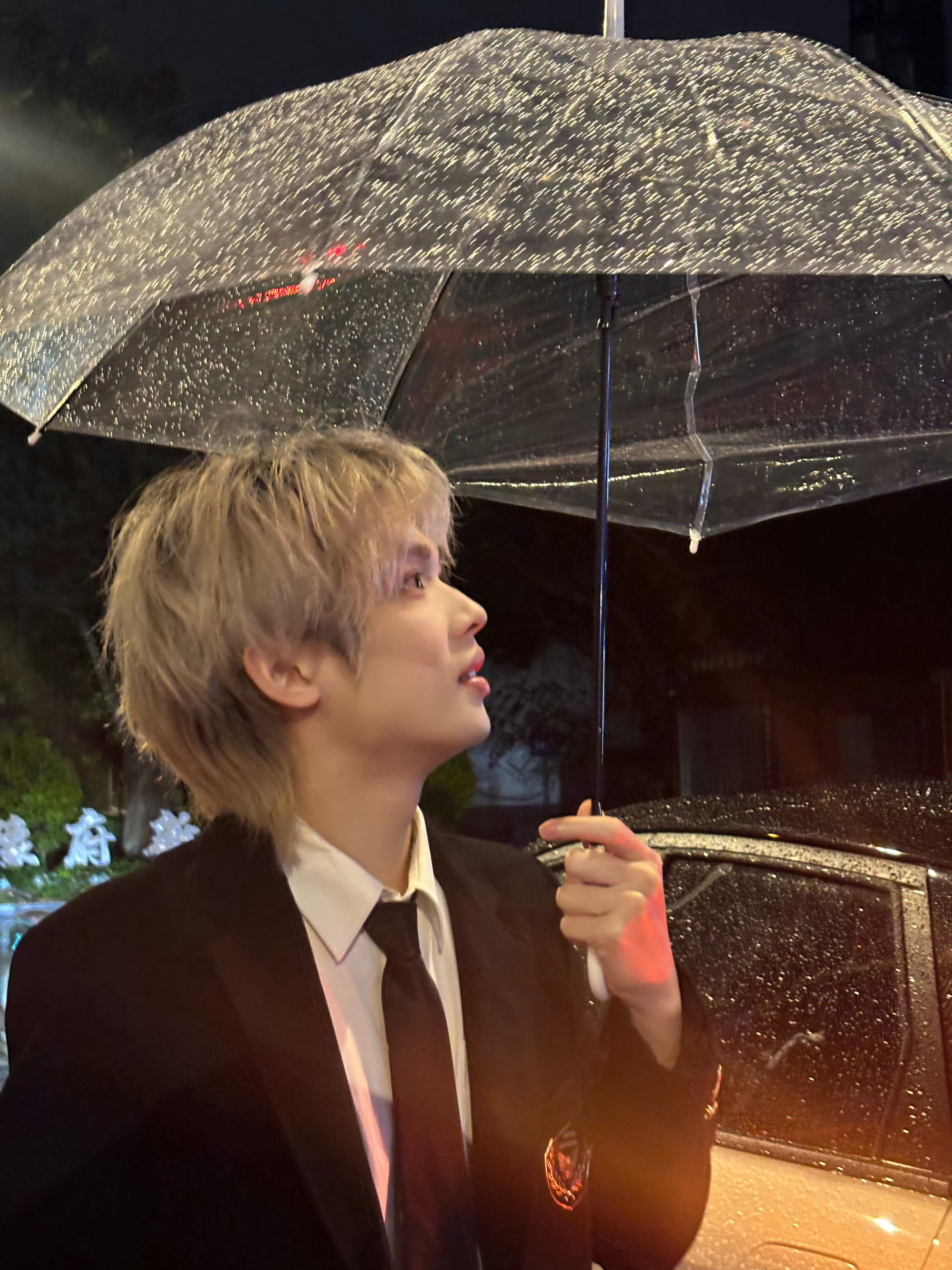 喜欢打游戏的猫  感觉这个🐈也很适合来一组雨中大片2026pel春季赛2025