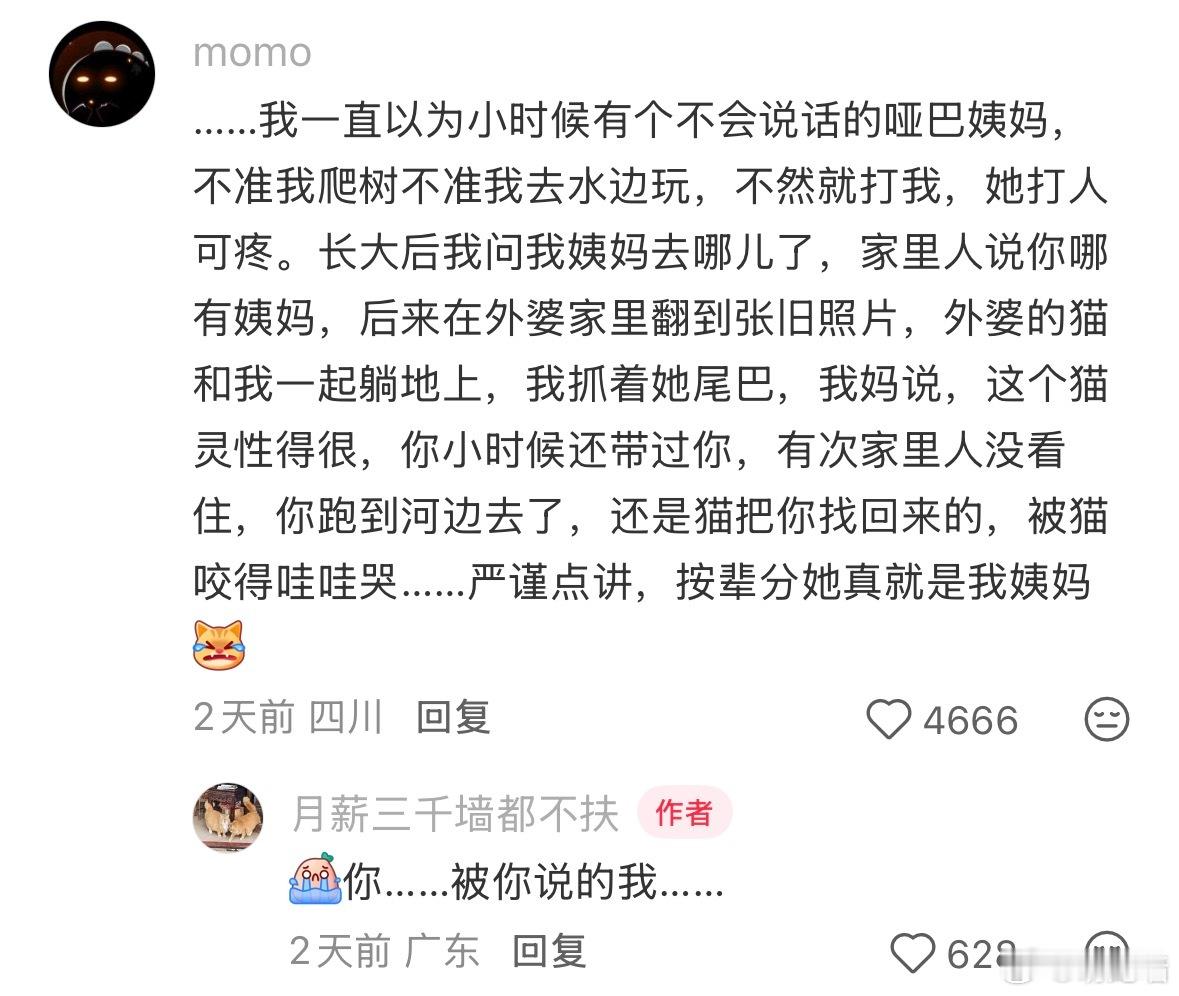 咪咪姨姨…… 