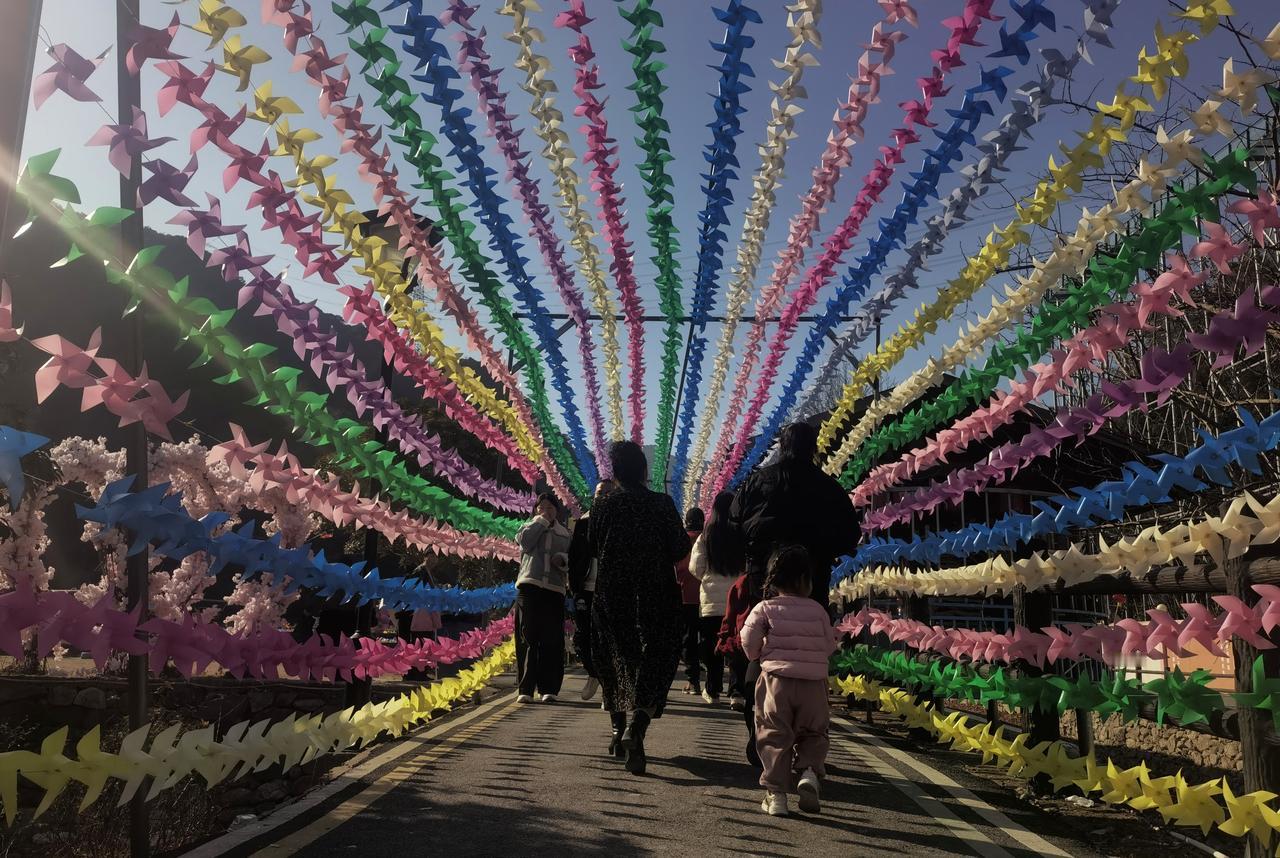 【热评】竖中指挑衅是严重的违法行为
女子违停竖中指挑衅

昆明斗南花市女子违停堵