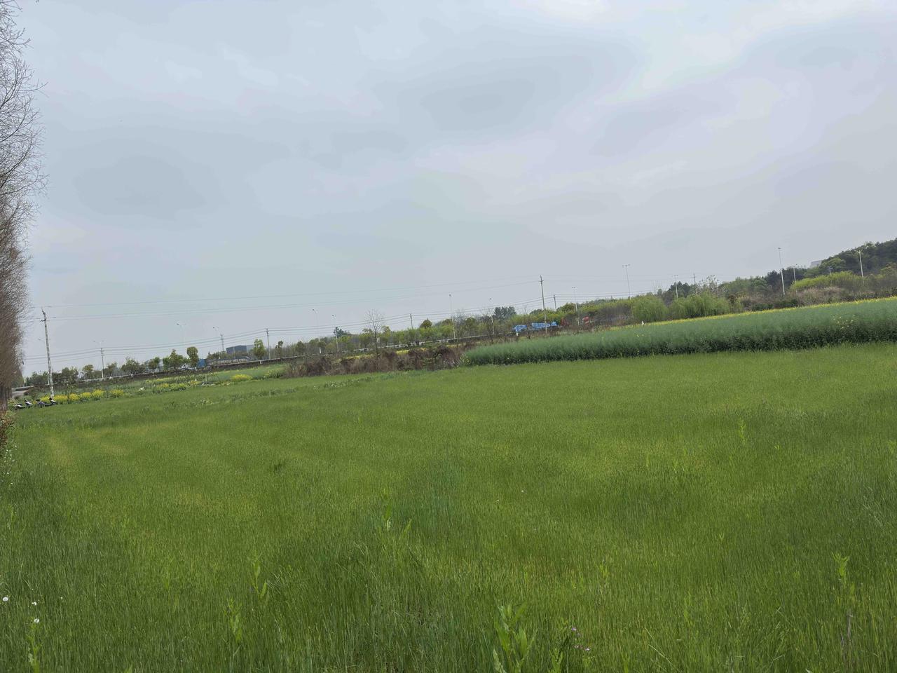 一路往北，骑行10多里路，来到一处田园。

首先映入眼帘的是依山傍水的田园，田里