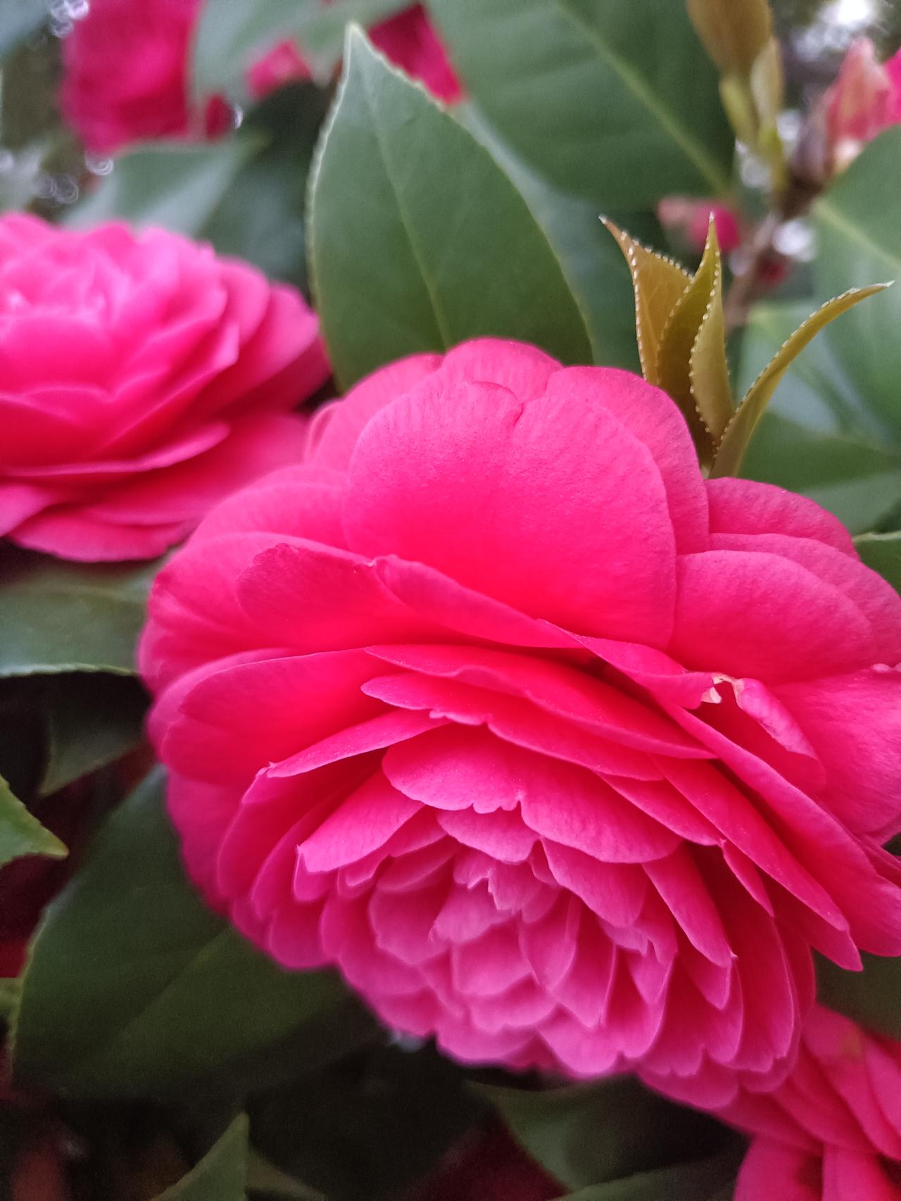 开会时如何让自己的发言更有说服力