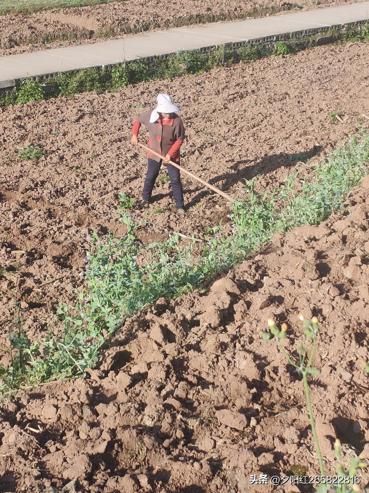 作为农民不种地，当然是好事，因他有其他谋生的门道，比如，进城办企业，也可以靠自己