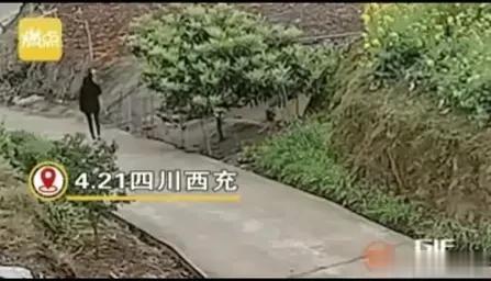 “美女，你抓的那只肥鸭子还没付钱呢！”近日四川西充，发生了一件让人看了特别无语的