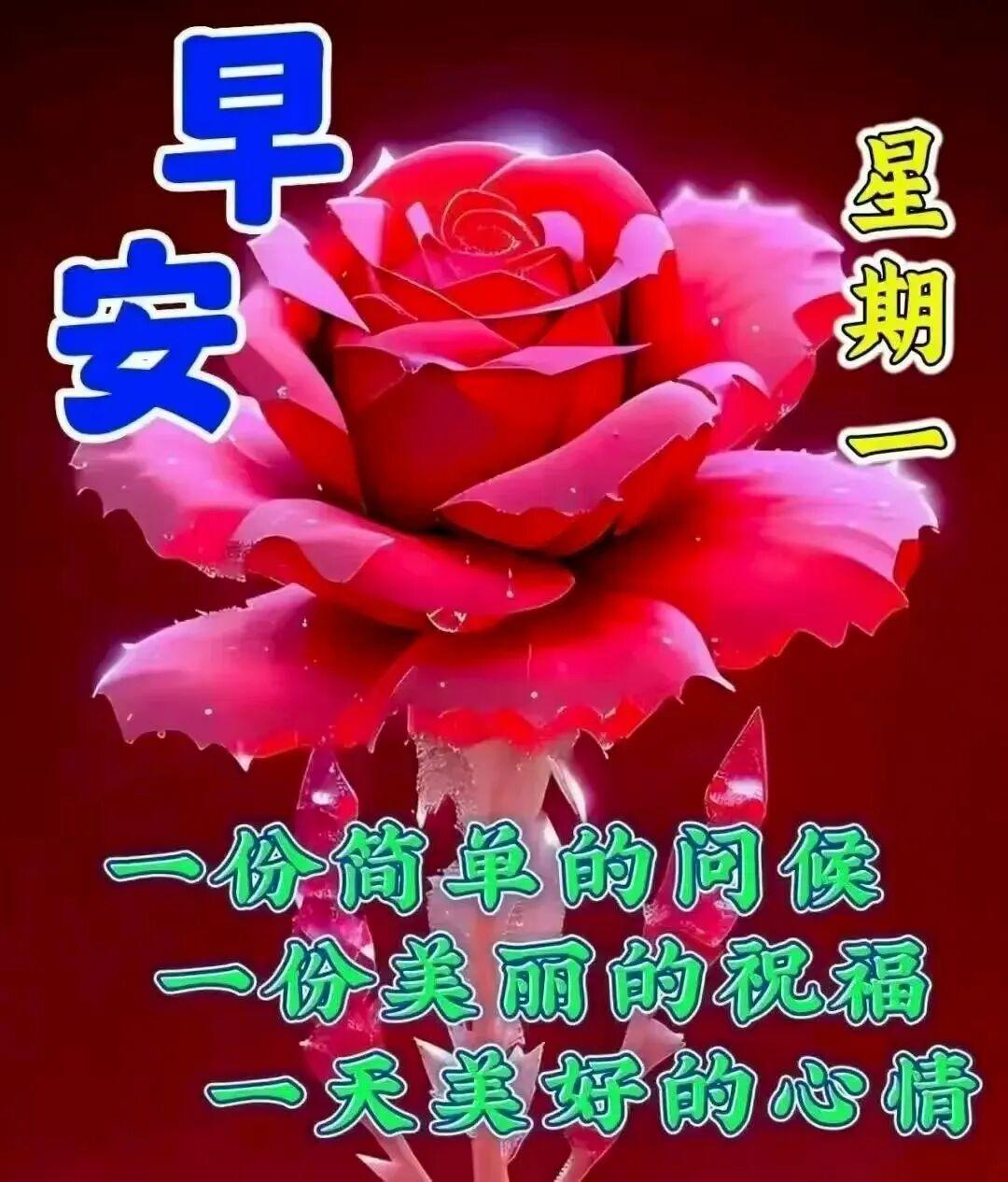 心里最想念的人心里最想念的是远在英国留学的外孙，出去快一年了，虽然知道他在那边一