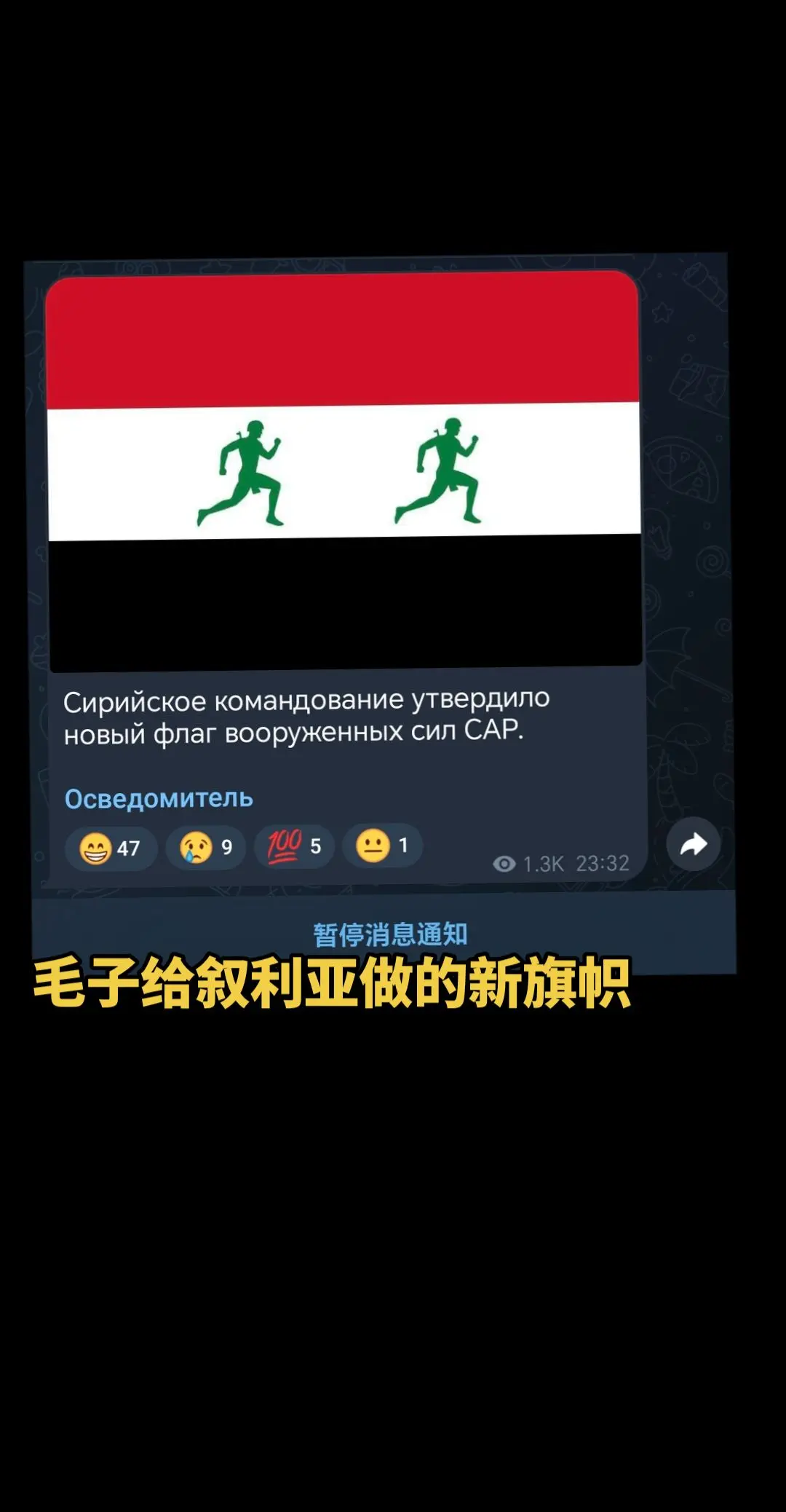 毛子给叙利亚做的新旗帜 🇸🇾