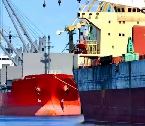 一艘满载6.9万吨巴西大豆的船运到咱们“家门口”，却被我们原路退回，原因是查出掺